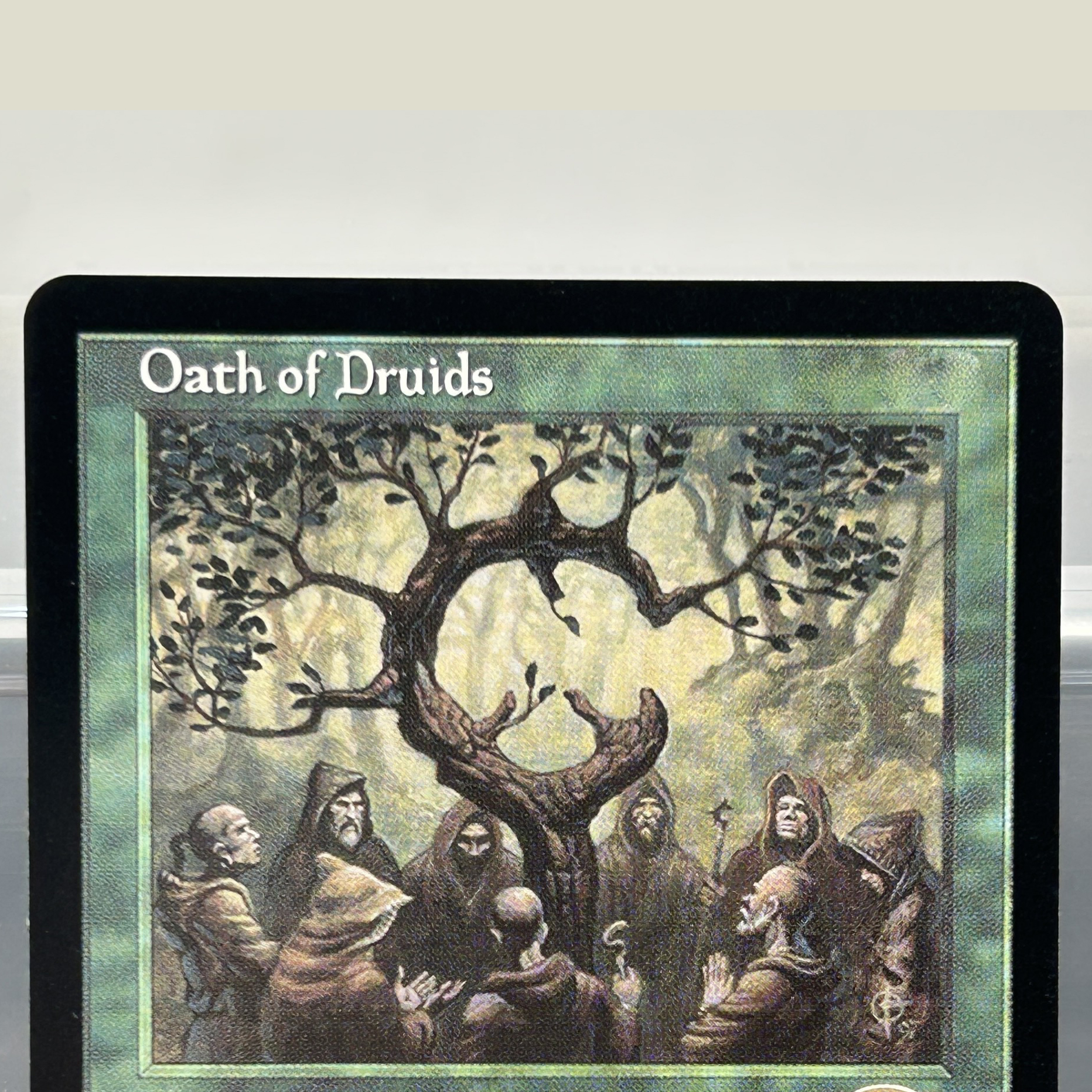 City of Traitors Oath of Druid - Board Game Oath review and price